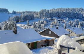 FeWo Gretel Schönwald - Foto 25