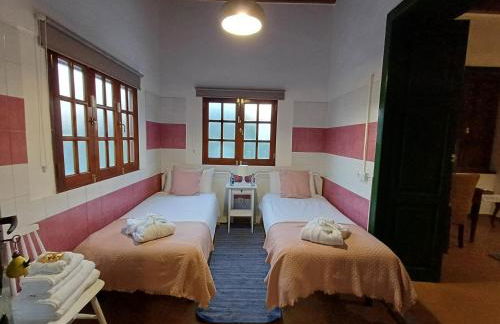 DRAGO 100, quiet and friendly - Foto 34