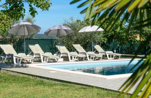 Breg Ivanovci - Three Bedroom Villa with Swimming Pool - Photo 41