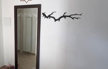 I Due Ciliegi - Foto 15