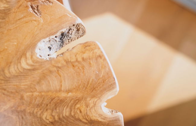 Panorama Chalet Schmittendrin by we rent - Foto 50