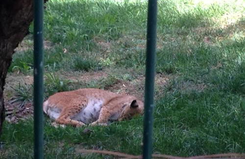 Apartamento Turistico Cigüeña de Arguedas - Foto 56