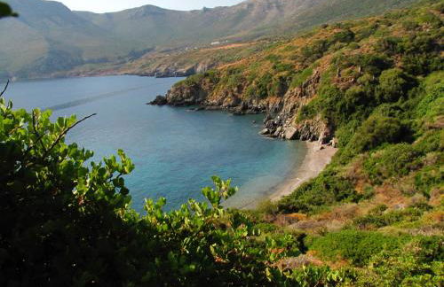 Velanidia Homestay - Foto 43