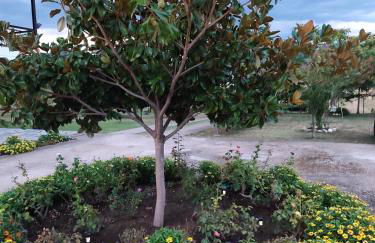 Meteora countryside villa - Foto 10