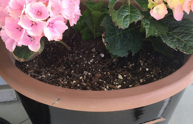 Veld View Bed & Breakfast - Photo 51