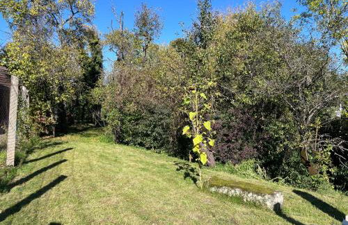 Ferienwohnung am Reichenbach - Foto 28