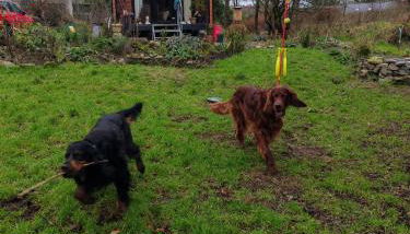 Hilltop Cabin - Foto 2