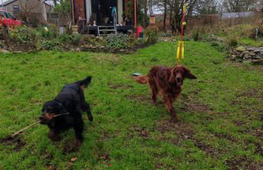 Hilltop Cabin - Foto 2