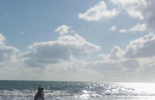 Casa operete - Foto 48