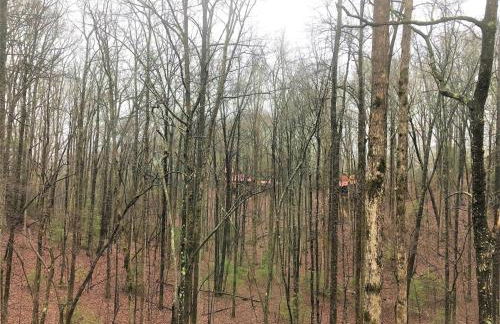 Little Bushy Head- Blue Ridge - Foto 12