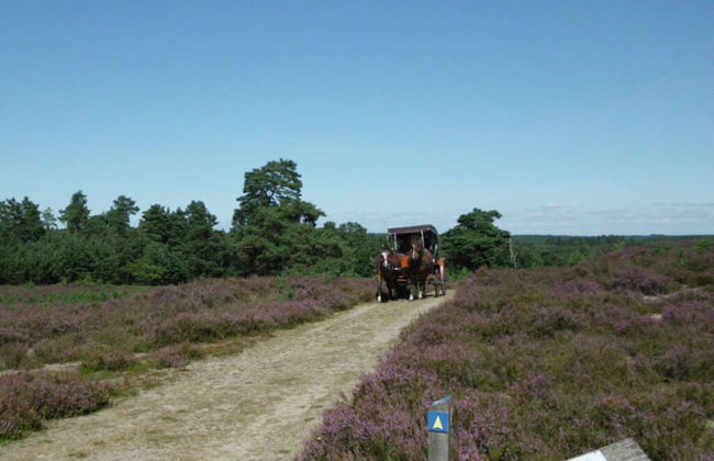 Holiday Home Wollspeicher - Foto 11