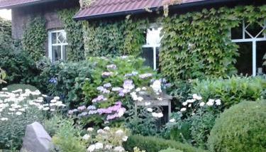 Ferienhaus Zaunkönig - Foto 2