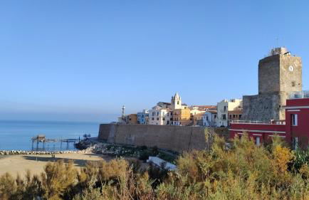 La casa delle farfalle - Foto 43