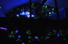 La Suite Pandora - Escape Game I SPA I Sauna - Foto 7