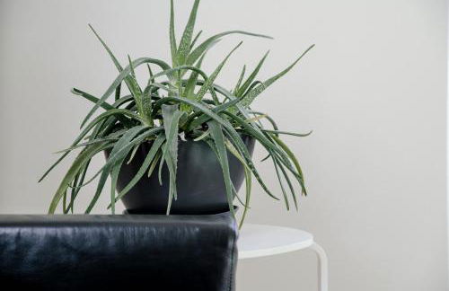 Appartamento in Villa Lina by Holiday Solutions - Foto 56