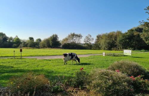 FEWO Morgenröte - Weserblick -Harriersand - Foto 17