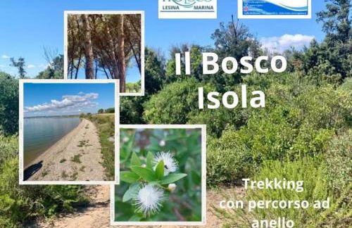 Casa Vacanze Mare Gargano Puglia Marina Di Lesina - 4g min - Foto 37