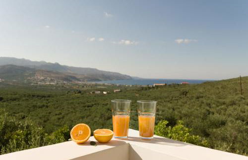 Majestic Villa - Photo 40