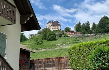 Lac d'Annecy, entre lac et montagne - Foto 1