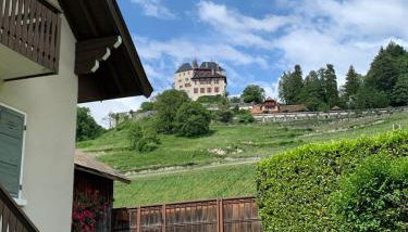 Lac d'Annecy, entre lac et montagne - Foto 1