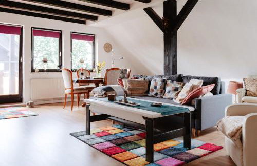 Olifant in Osterode - Foto 7