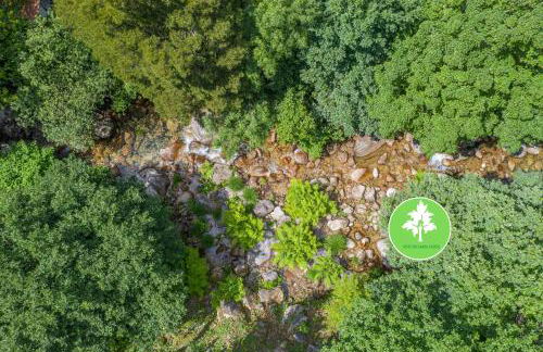 Estúdio R&M - Gerês - Foto 8