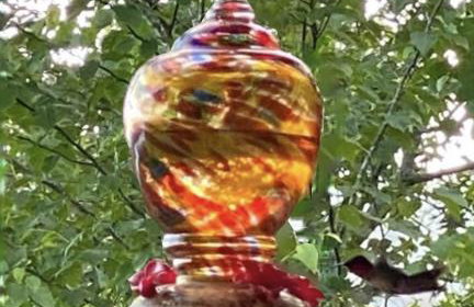 Bear's Mountaintop Home with Gorgeous Lake Views chalet - Foto 31