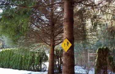 A Relaxing Getaway SolDuc 1 - Foto 18