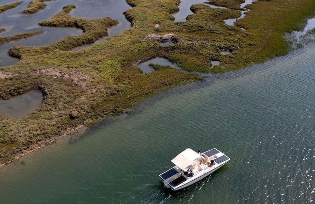 Paseo en barca ecológica por la Ría Formosa - Foto 15