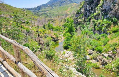 Timber Dream - Photo 23