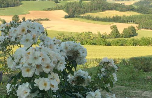 Cascina Vicentini - Foto 79