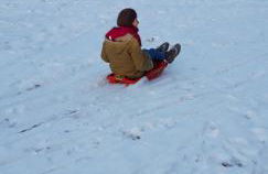 Appartamento Giada Pozzale di Pieve di Cadore(BL) - Foto 19