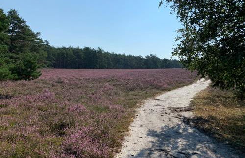 Wassermühle Habighorst - Foto 34