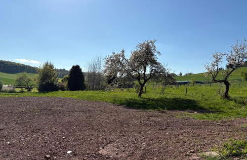 Appartement Löwenzahn - Foto 9