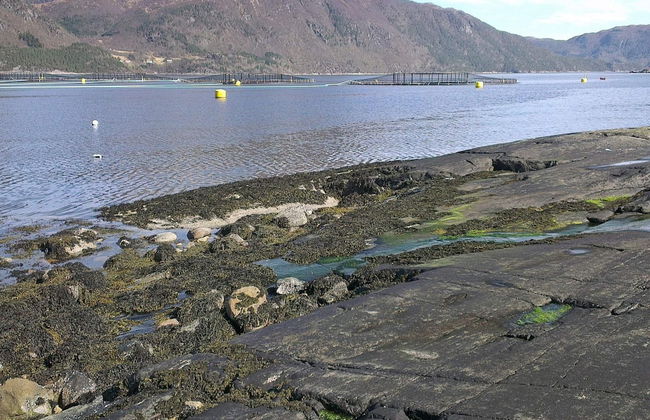 6 Person Holiday Home in Halsanaustan - Photo 13