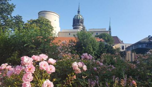 Fewo "Seerose" am Stadtpark - Foto 3
