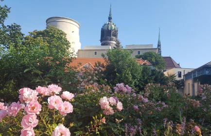 Fewo "Seerose" am Stadtpark - Foto 3