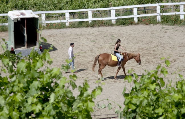 Montelucci Country Resort & Agriturismo di Charme - Foto 29