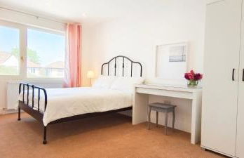 Phlox Garden - Foto 29