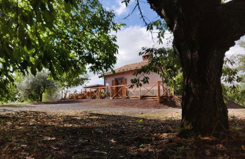 Mount Etna Chalet - Foto 6