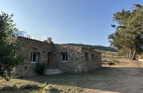 Villa in nature & heated pool - Figari - Foto 8