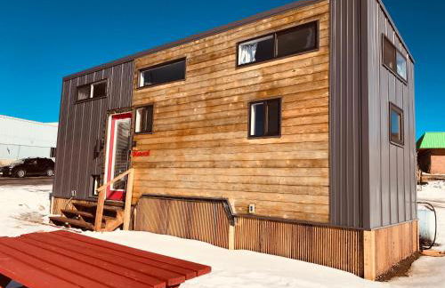 Tiny House Leadville Colorado - Foto 53
