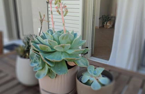 Nerinalia Residence - Foto 18