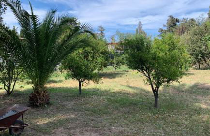 Villa Lidia - Foto 12