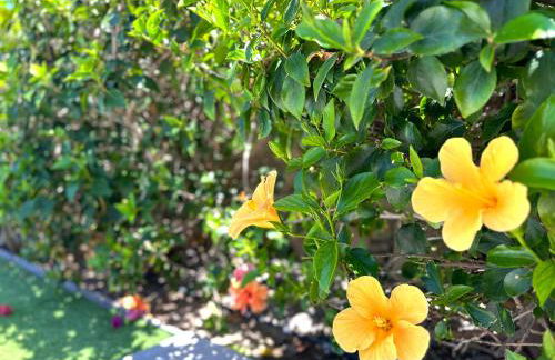 Estrella Del Sur Tauro Ocean Wiew Heated Pool - Foto 45