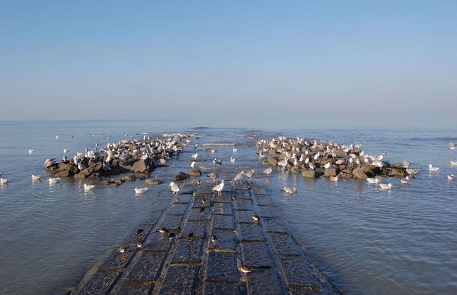 Apartment in Koksijde Near the Beach - Photo 29