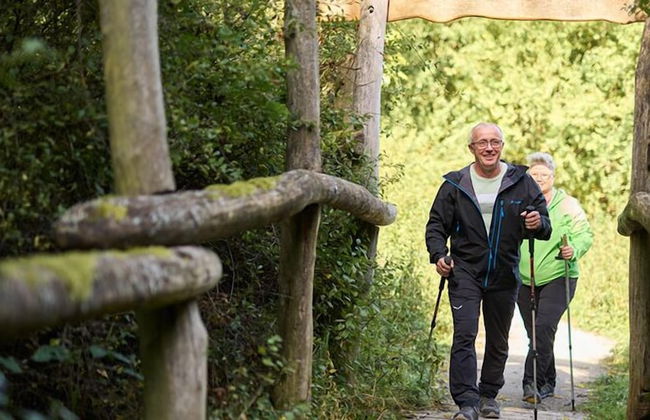 WaldResort - Am Nationalpark Hainich - Foto 14