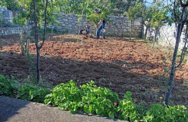 Sofias Studio - Foto 12