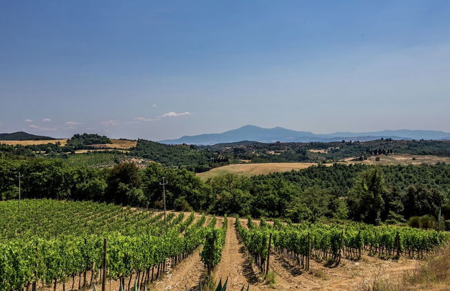 Belvilla by OYO Villa Sangiovese - Foto 21