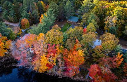 The Bear's Den - Foto 15